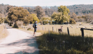 antenna-ohNCIiKVT1g-unsplash antenna-ohNCIiKVT1g-unsplash